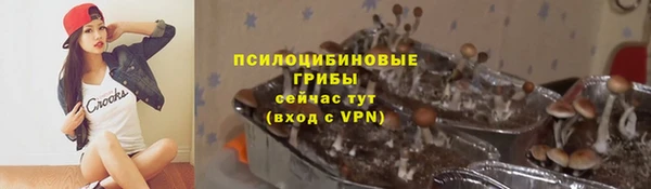 Альфа ПВП Алексеевка