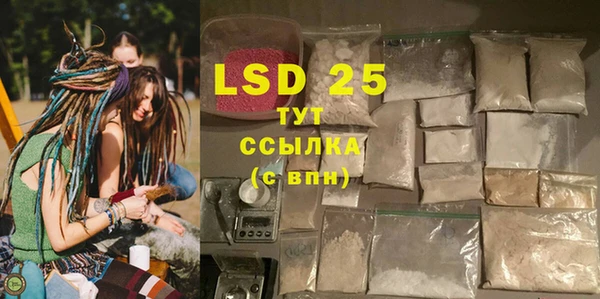 ECSTASY Алзамай