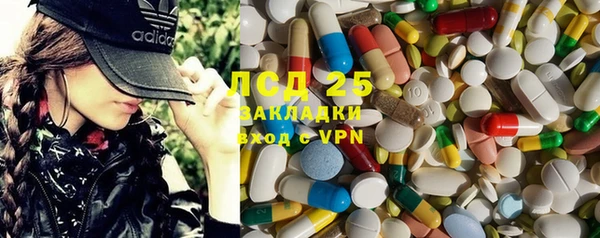 ECSTASY Алзамай