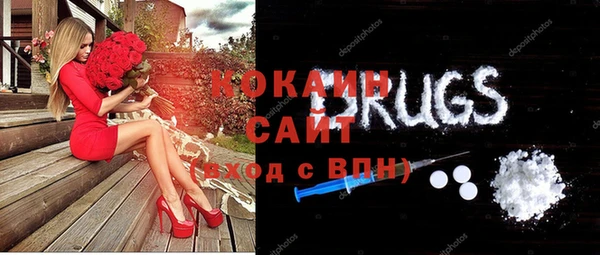 ECSTASY Алзамай