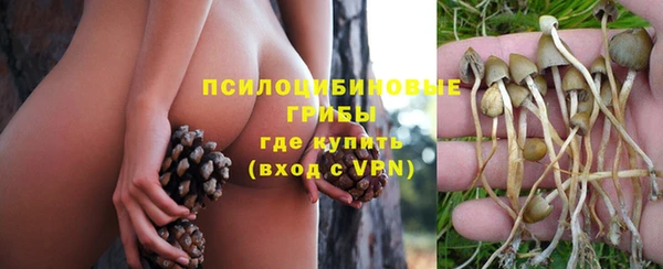 ECSTASY Алзамай